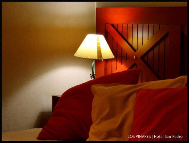 Hotel Los Pinares ซานเปโดร ภายนอก รูปภาพ