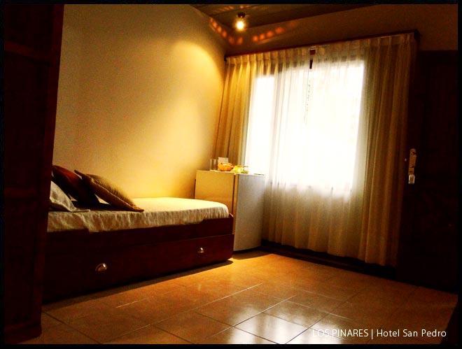 Hotel Los Pinares ซานเปโดร ภายนอก รูปภาพ