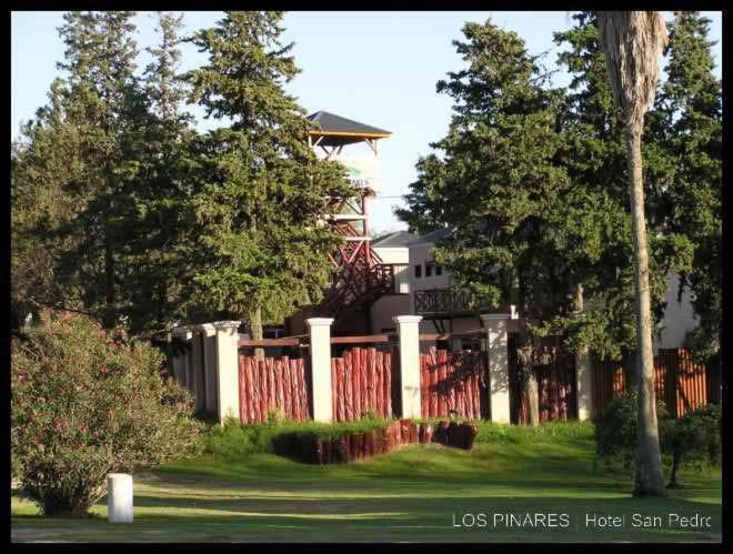 Hotel Los Pinares ซานเปโดร ภายนอก รูปภาพ